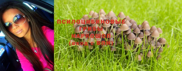 apvp Абаза