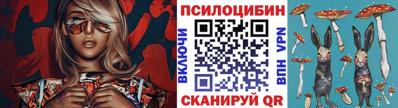 Псилоцибиновые грибы ЛСД площадка Telegram Шимановск